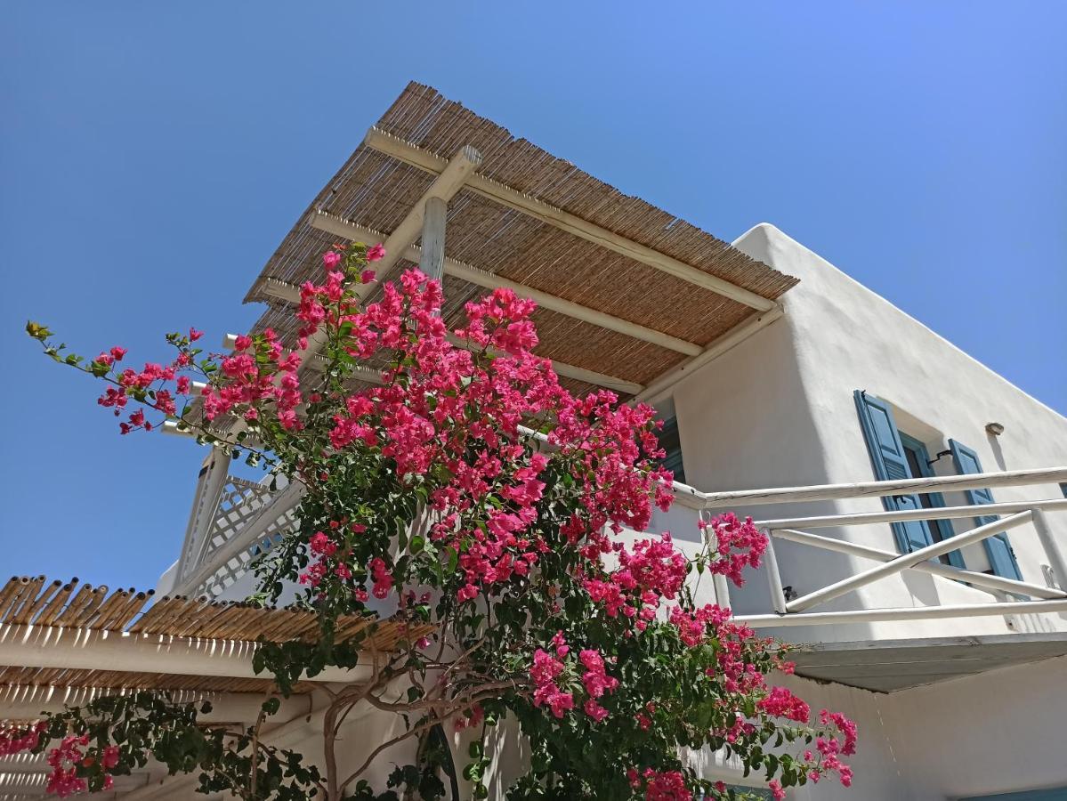 Kykladonisia Amorgos Phòng bức ảnh